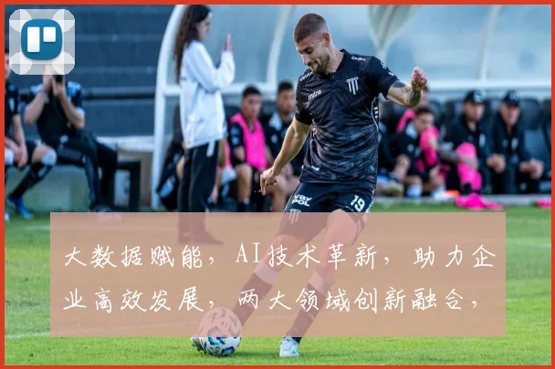大数据赋能，AI技术革新，助力企业高效发展，两大领域创新融合，共筑智能未来