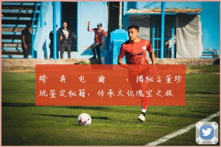 绔犻奔鐢电珵瀹樼綉，揭秘古董珍玩鉴定秘籍，传承文化瑰宝之旅