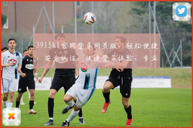 3915k1官网登录网页版，轻松便捷，安全认证，快速登录体验，专业服务，一步到位