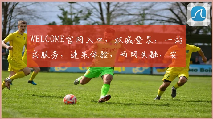 WELCOME官网入口，权威登录，一站式服务，速来体验，两网共融，安全快捷