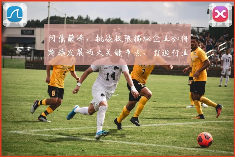 问鼎巅峰，挑战极限揭秘企业如何跨越发展两大关键节点，打造行业霸主