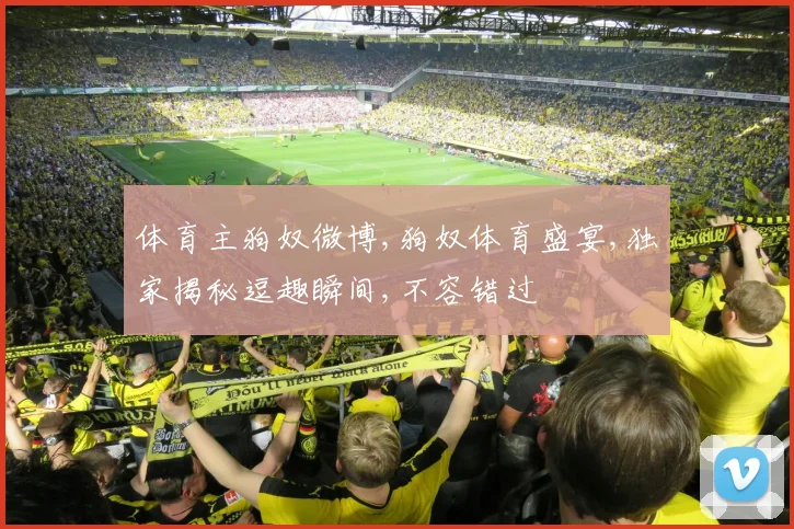 体育主狗奴微博,狗奴体育盛宴,独家揭秘逗趣瞬间,不容错过