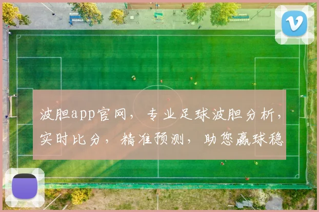 波胆app官网，专业足球波胆分析，实时比分，精准预测，助您赢球稳赚，不容错过